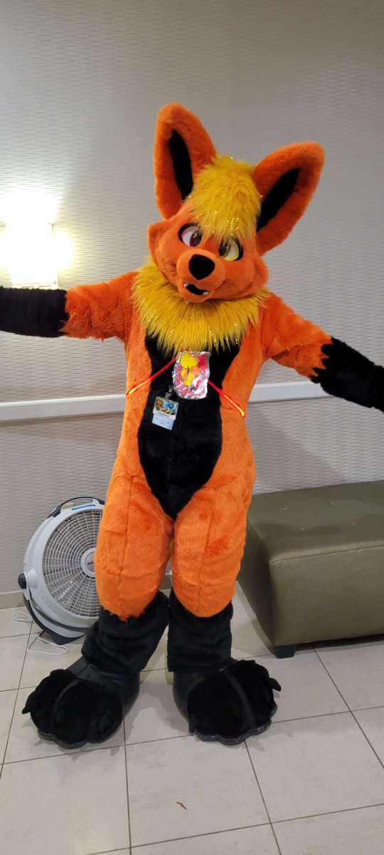 S'mores Wolf tweet media