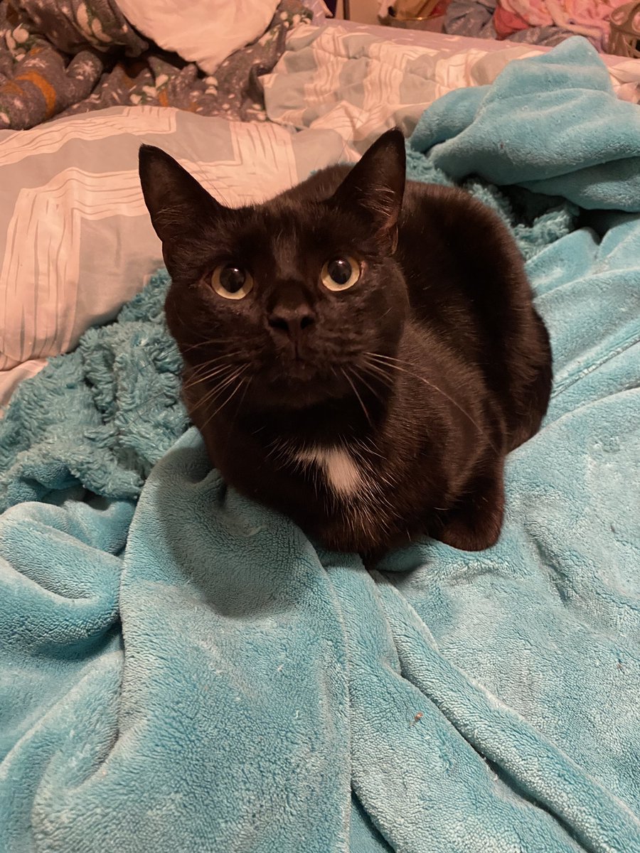 owen hunt hate account tweet media