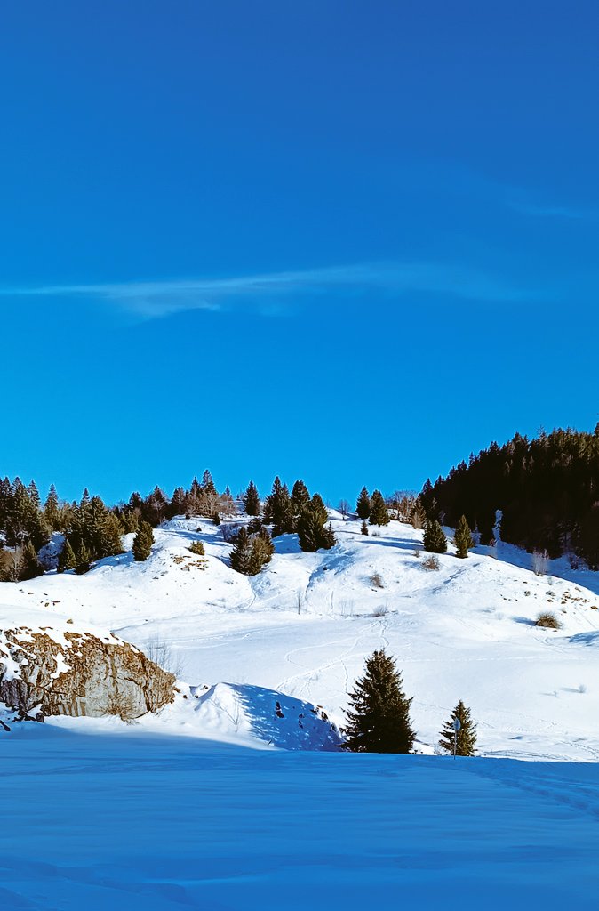 Myriam Mimi 🇲🇦🇲🇫 tweet media