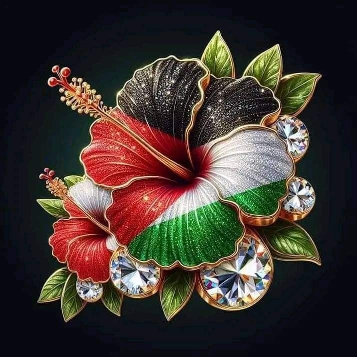 💚ALZUMARUD💚 tweet media