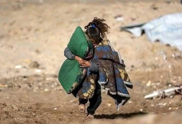 أدهم شرقاوي tweet media