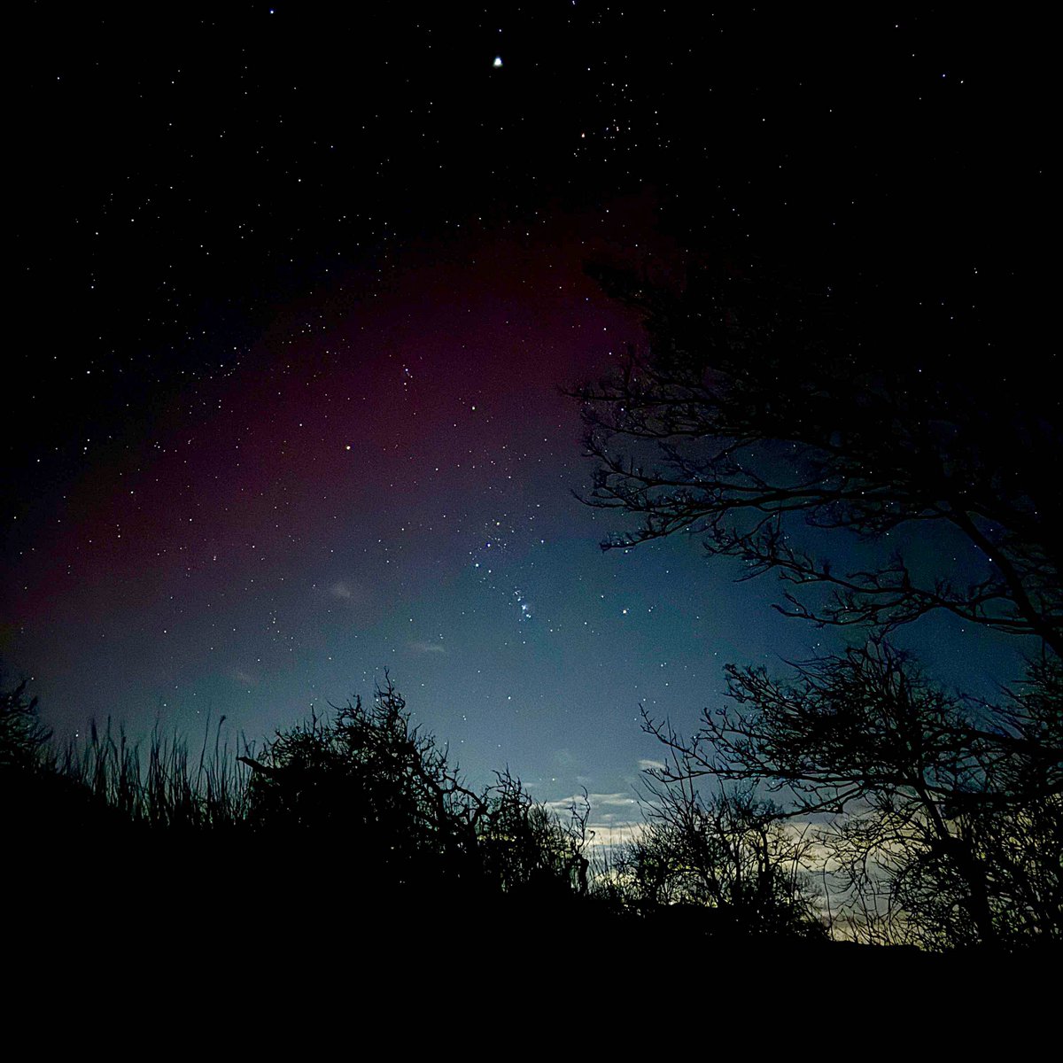 Chadwick Media tweet media