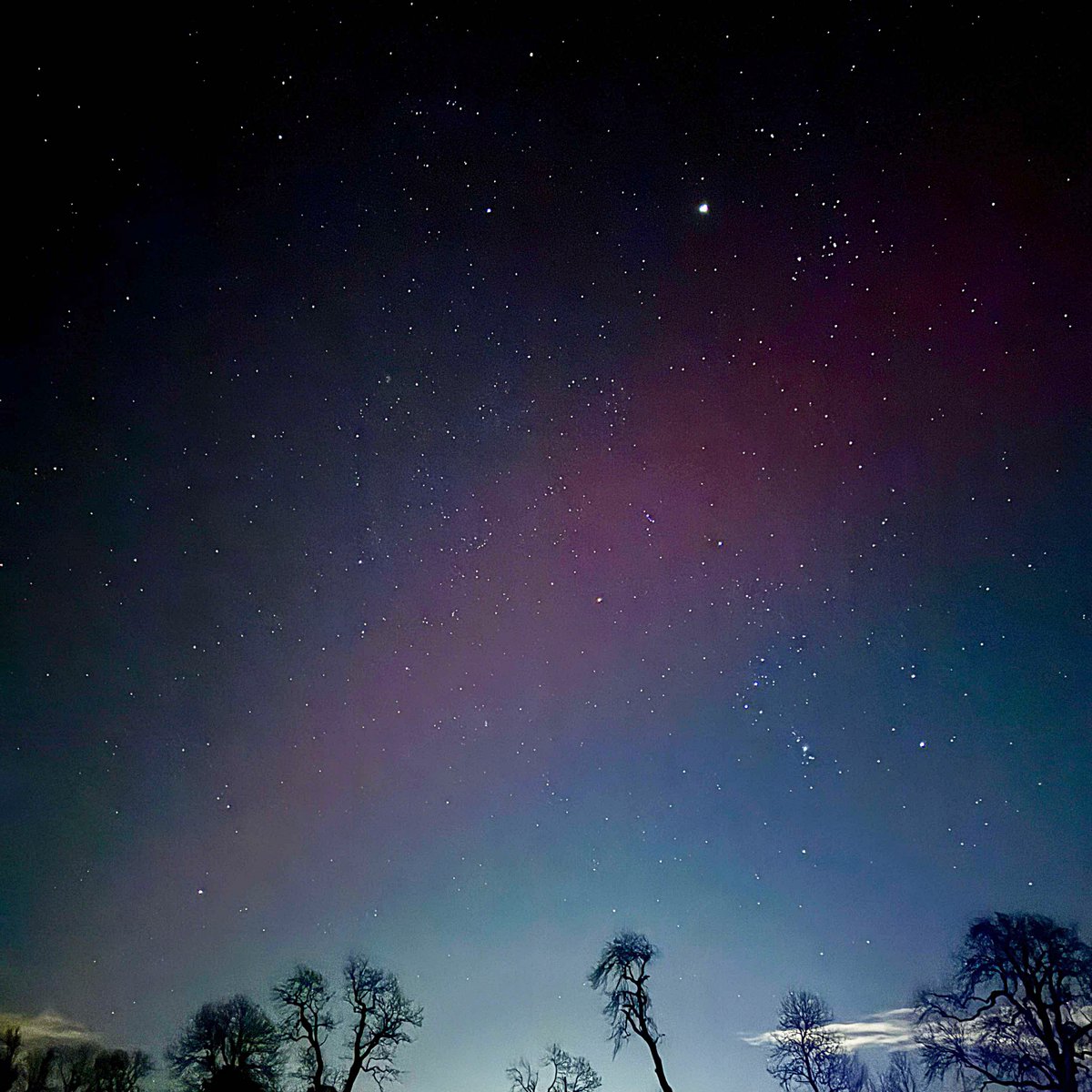 Chadwick Media tweet media