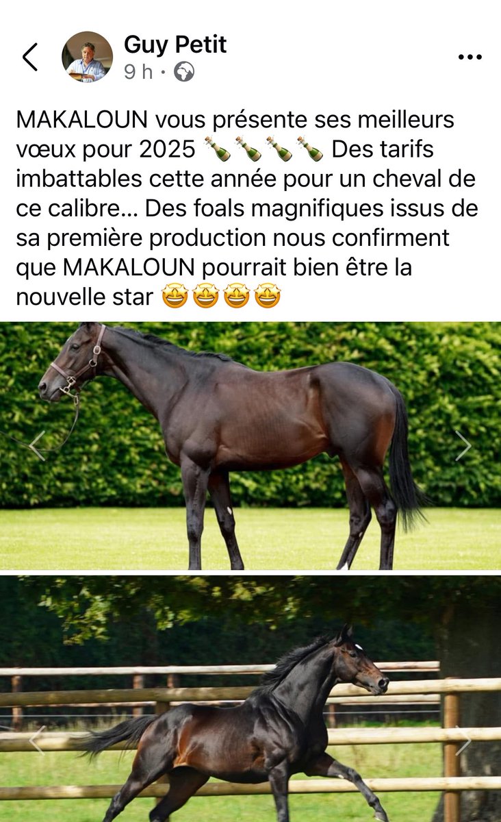 GUY PETIT (@guypetit1) on Twitter photo 