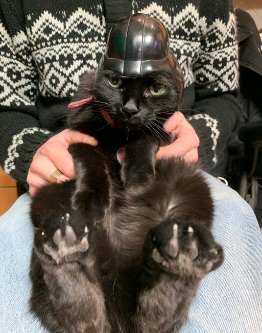 Sorry

It Has to happen every year.  
Before the tree gets packed up and the sweaters go to the back of the drawer….

Merry Christmas and Happy New Year to All

Do take note, the perfect, even canon helmet is borrowed from the Vader Mr PotatoHead. 

Now you know ;)