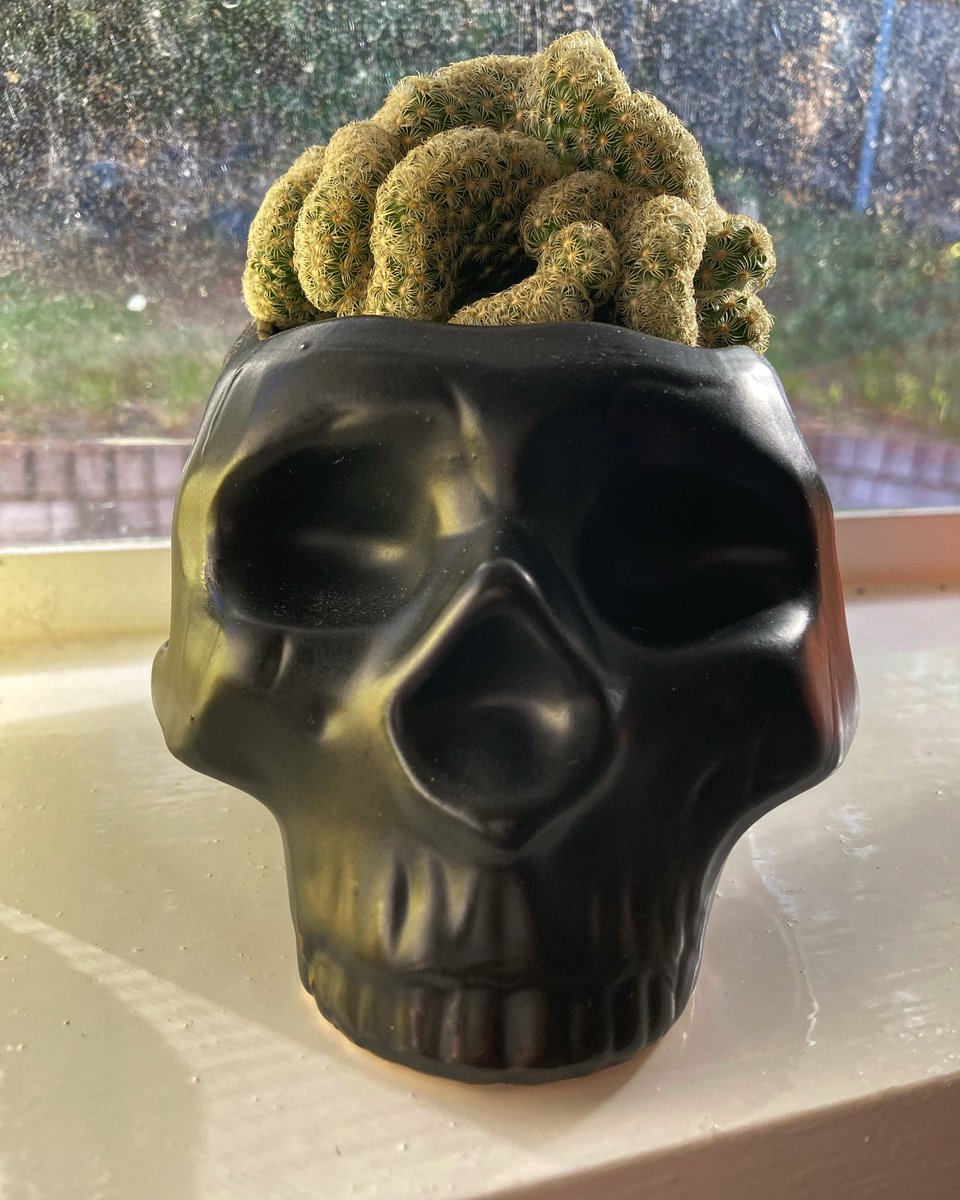 Daniel JT O'Malley tweet media