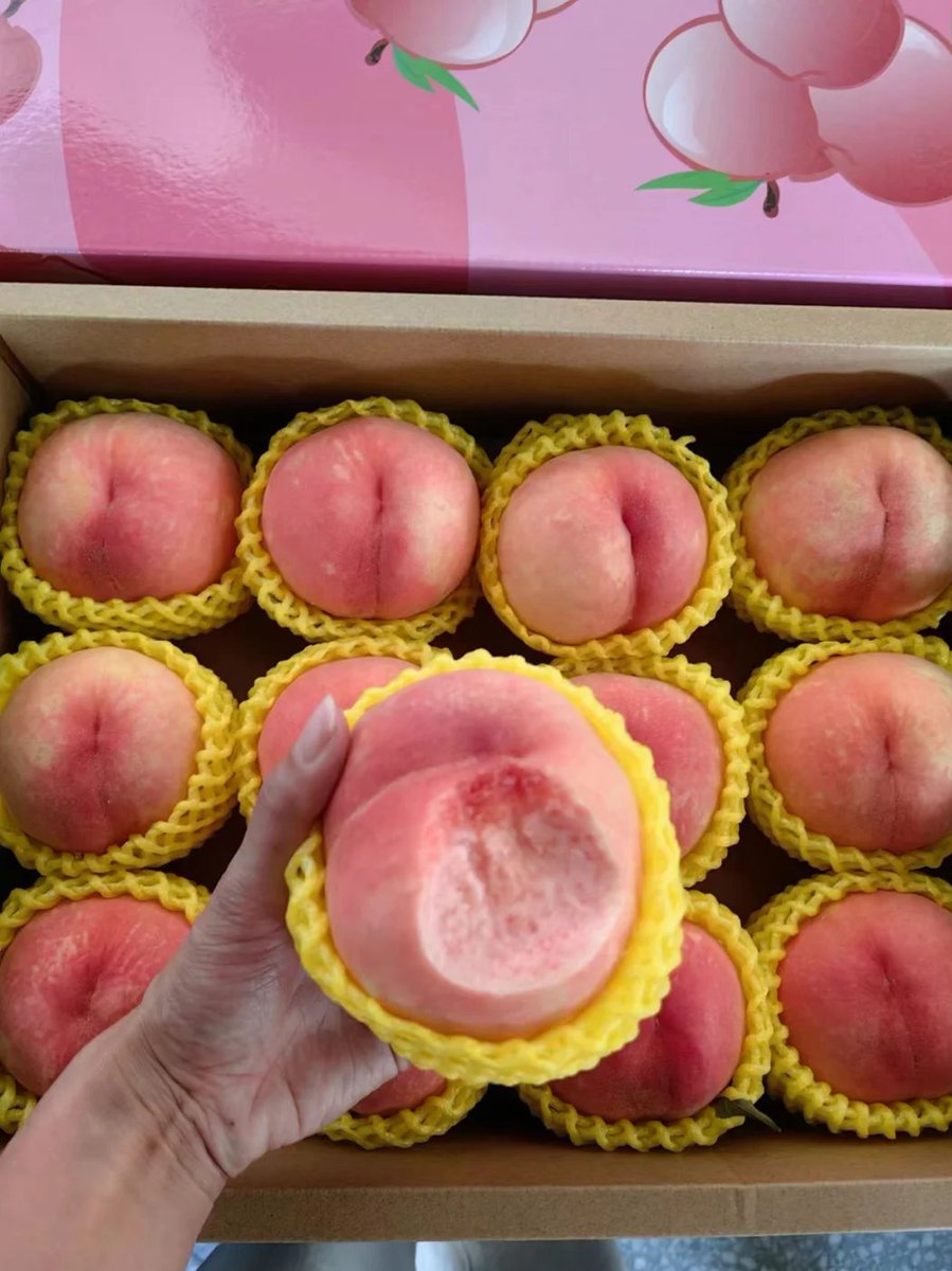 思わず一口食べたくなる