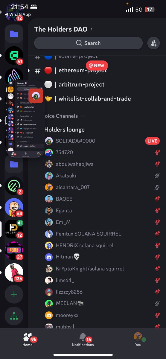 We active #holdersdao  <a href="/iamSOLFada/">SOLFADA</a> 
Like this tweet if you want an invite to  holders Dao discord channel.