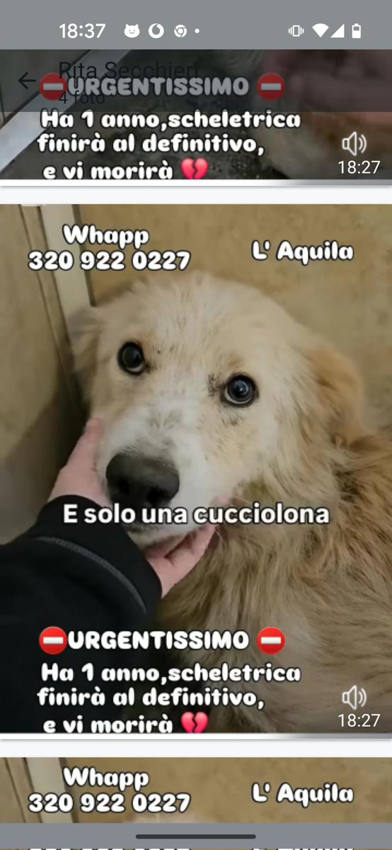 CONDIVIDIAMO GRAZIE 🙏🙏♥️♥️♥️♥️♥️♥️🙏🆘🆘♥️♥️♥️♥️♥️♥️