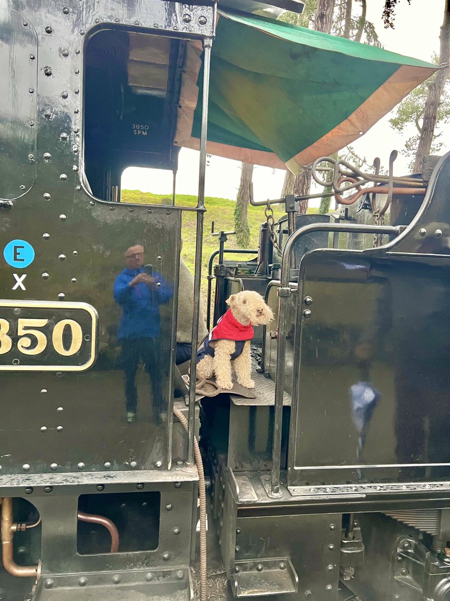 Doesn’t every young lad want to be an engine driver? ❤️