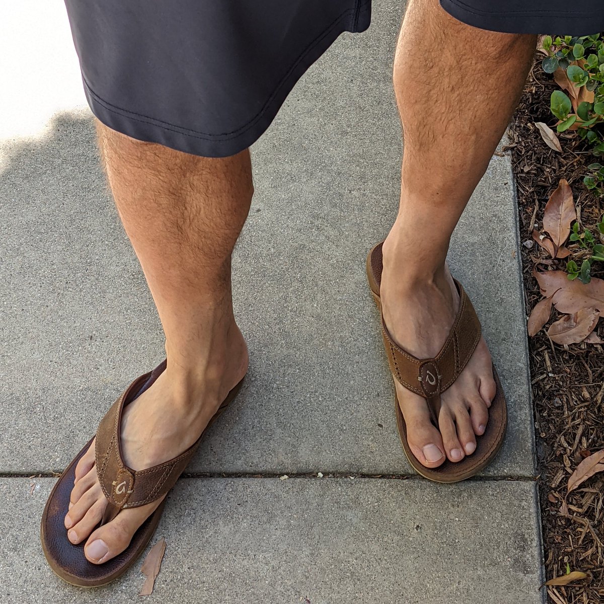 socalbro005 tweet media