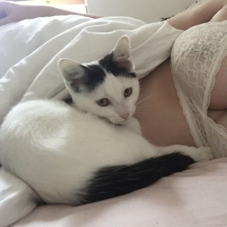 Daim köle arıyorum ön ödeme ile