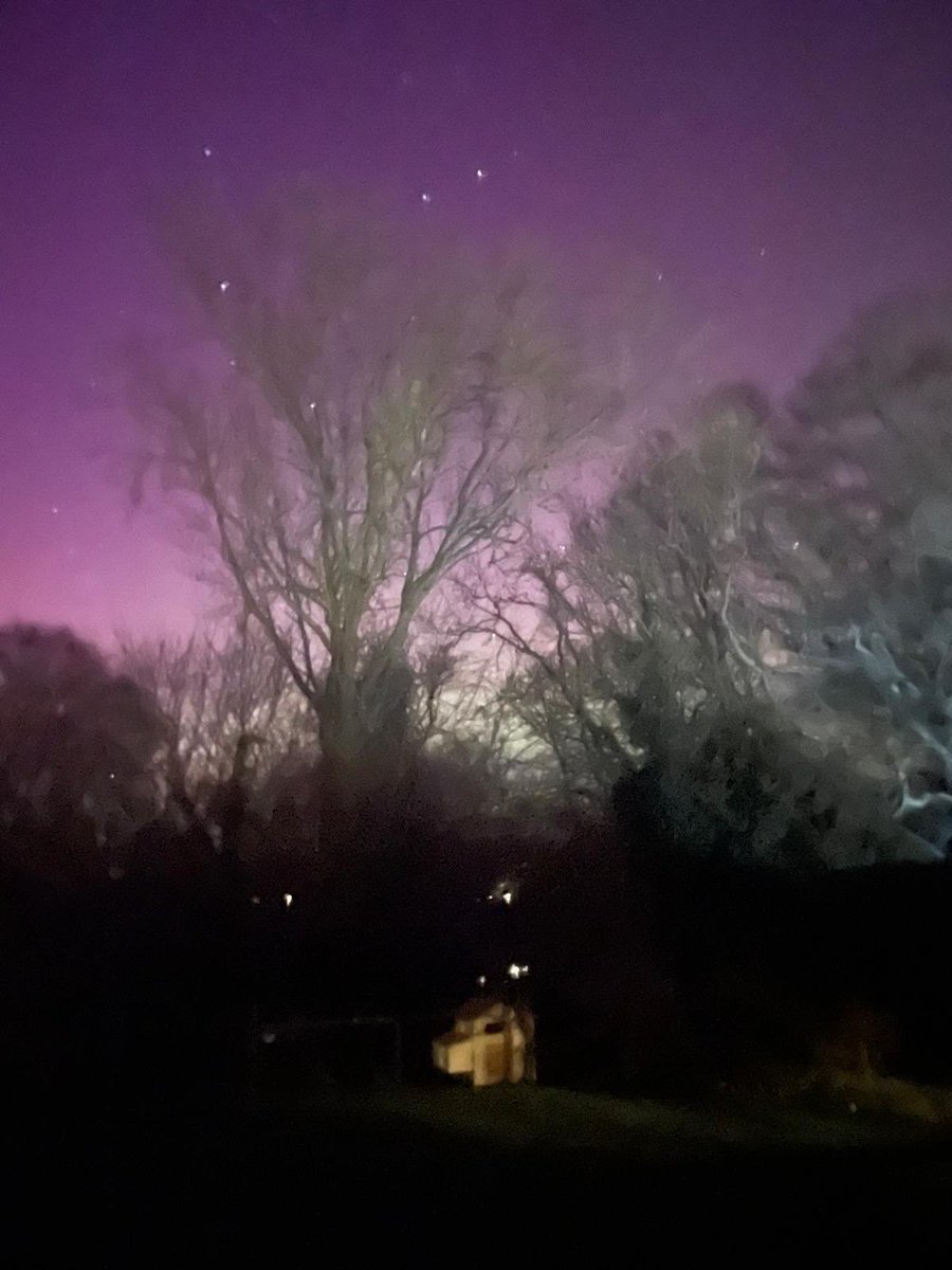 And then this evening the Northern Lights appeared in our garden 🤩