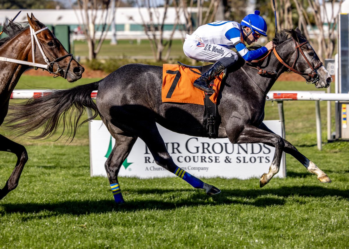 Shepherd Equine Advisers tweet media