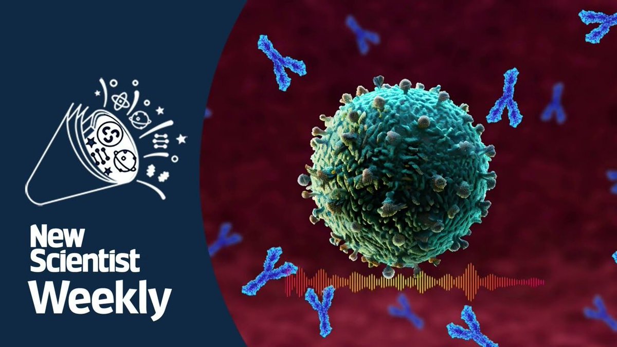Immune system treatment makes old mice seem young again | New Scientist Weekly podcast 243: buff.ly/43DcPFP