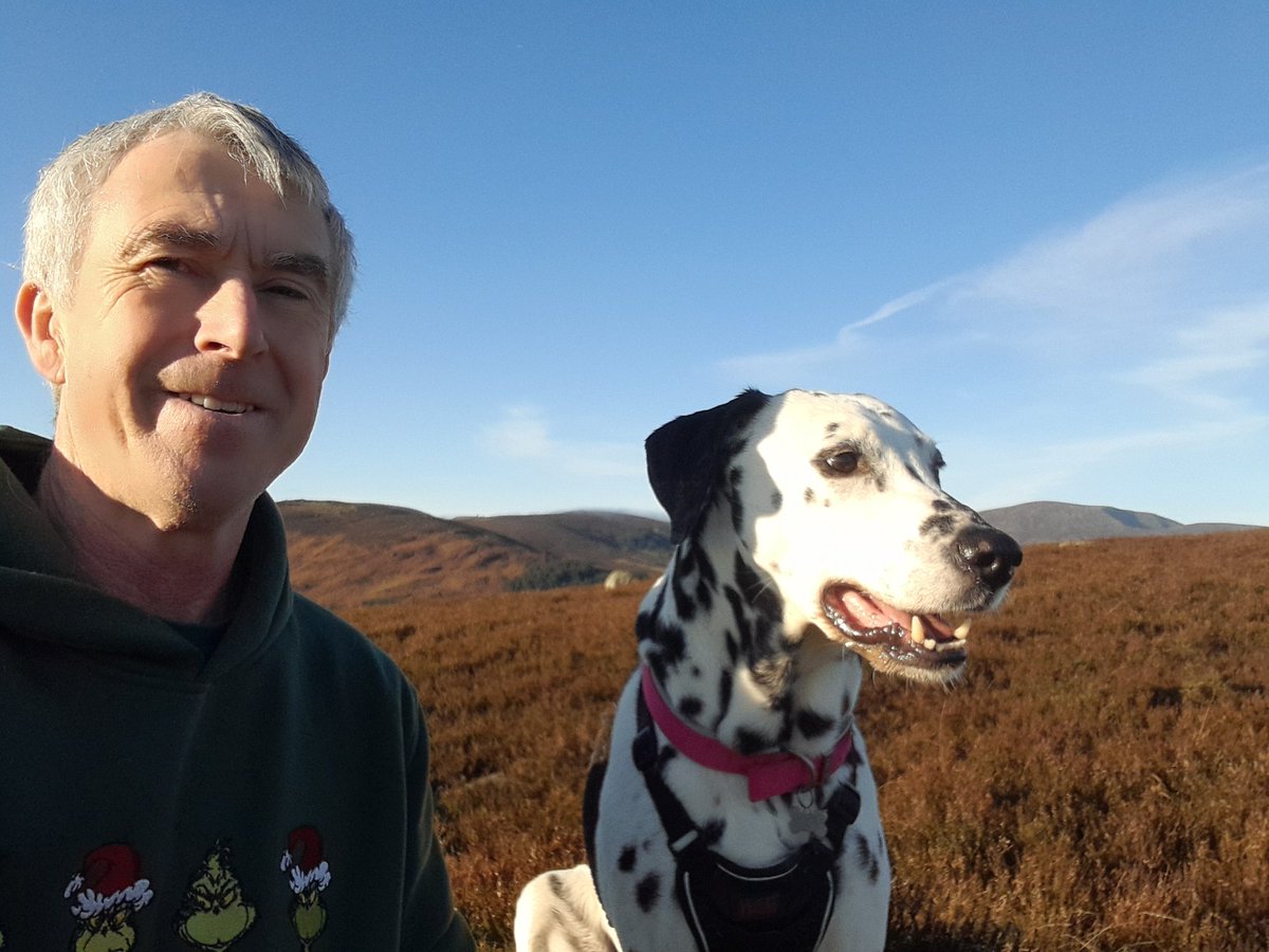 Wicklow Nature tweet media