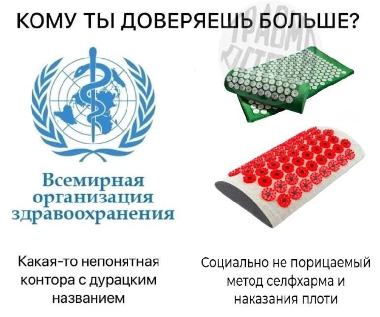 doctocalculator's tweet image. 