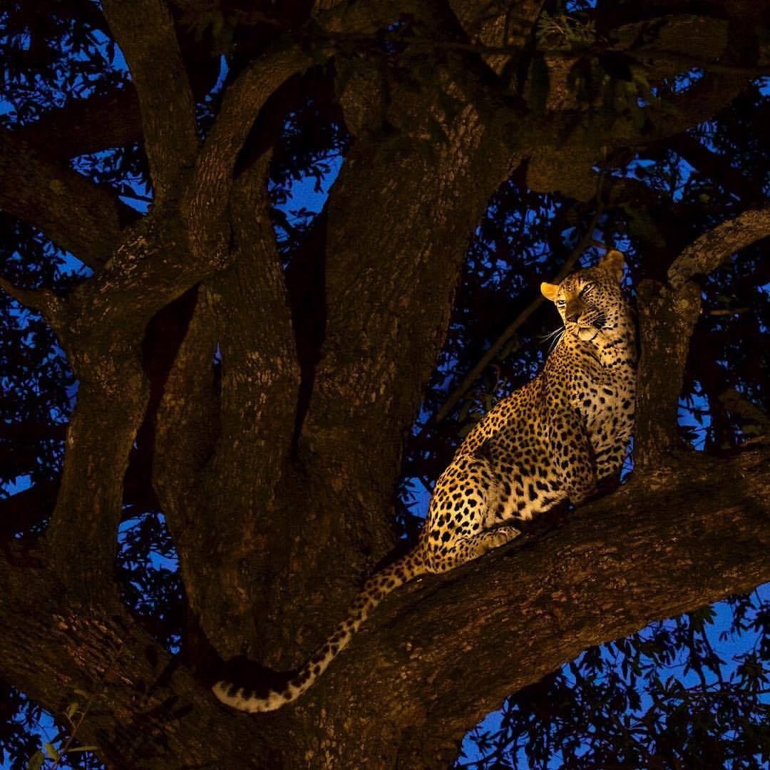 بحر 🌊 (@butterflless) on Twitter photo 