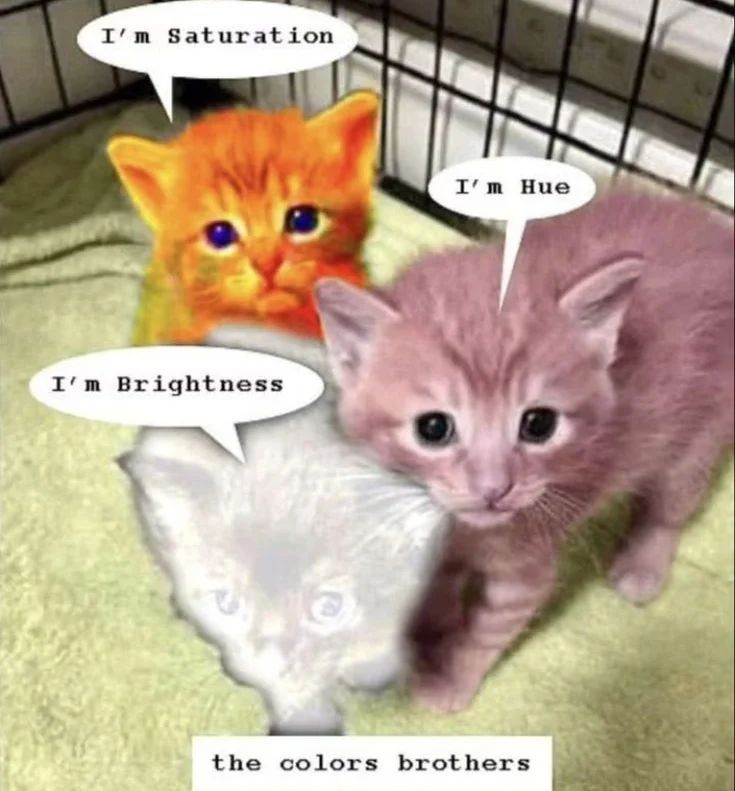 Punch Cat (@punchingcat) on Twitter photo 
