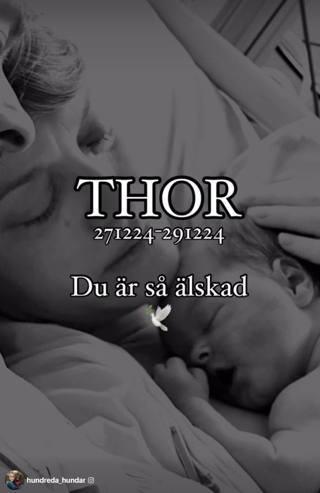 HannasArtStudio's tweet image. Rest In Peace, my sweet nephew. You are loved greatly, and we miss you so much 💔
 
My brother and I have started a fundraiser to help with funeral costs for Thor, to aid our sister Emma and brother-in-law Robert through this period of grief

RT's greatly appreciated!!