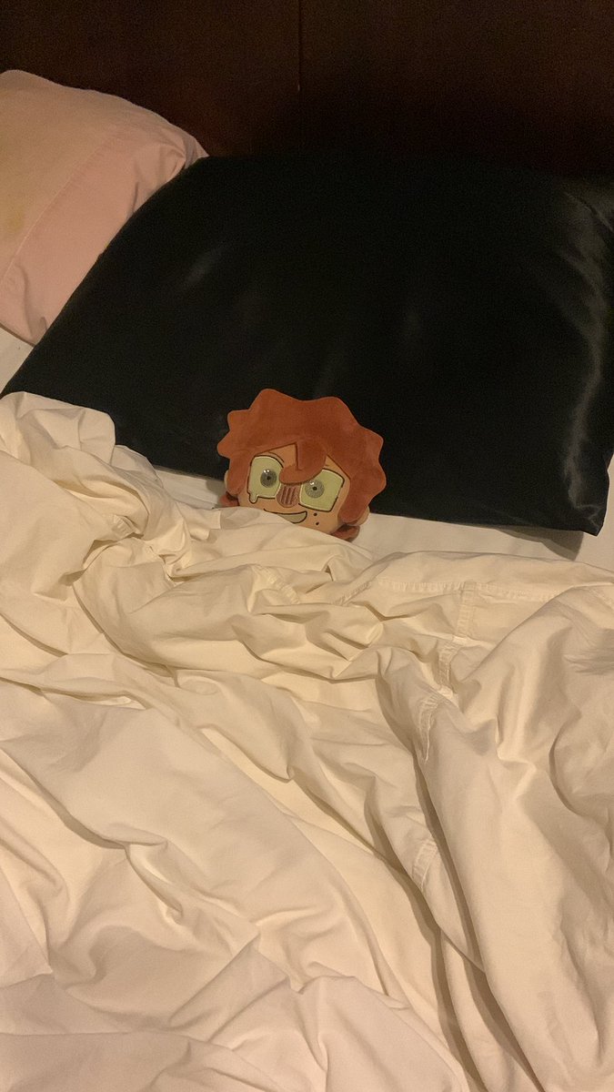 happy new year everyone! rody hopes uou have a great start to your year! stay safe, drink water, eat something. you deserve it! we cannot wait for another year of silly rody pictures and hope you’ll be apart of it! love ya~! - rody and mod #DeadPlate #dailyrodyplushie