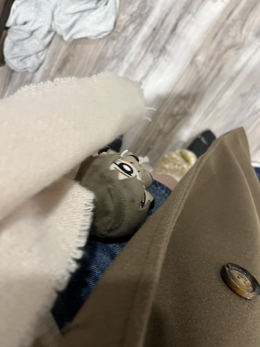 44holis's tweet photo. hes coming with me to detroit https://t.co/YUc8nixFKw