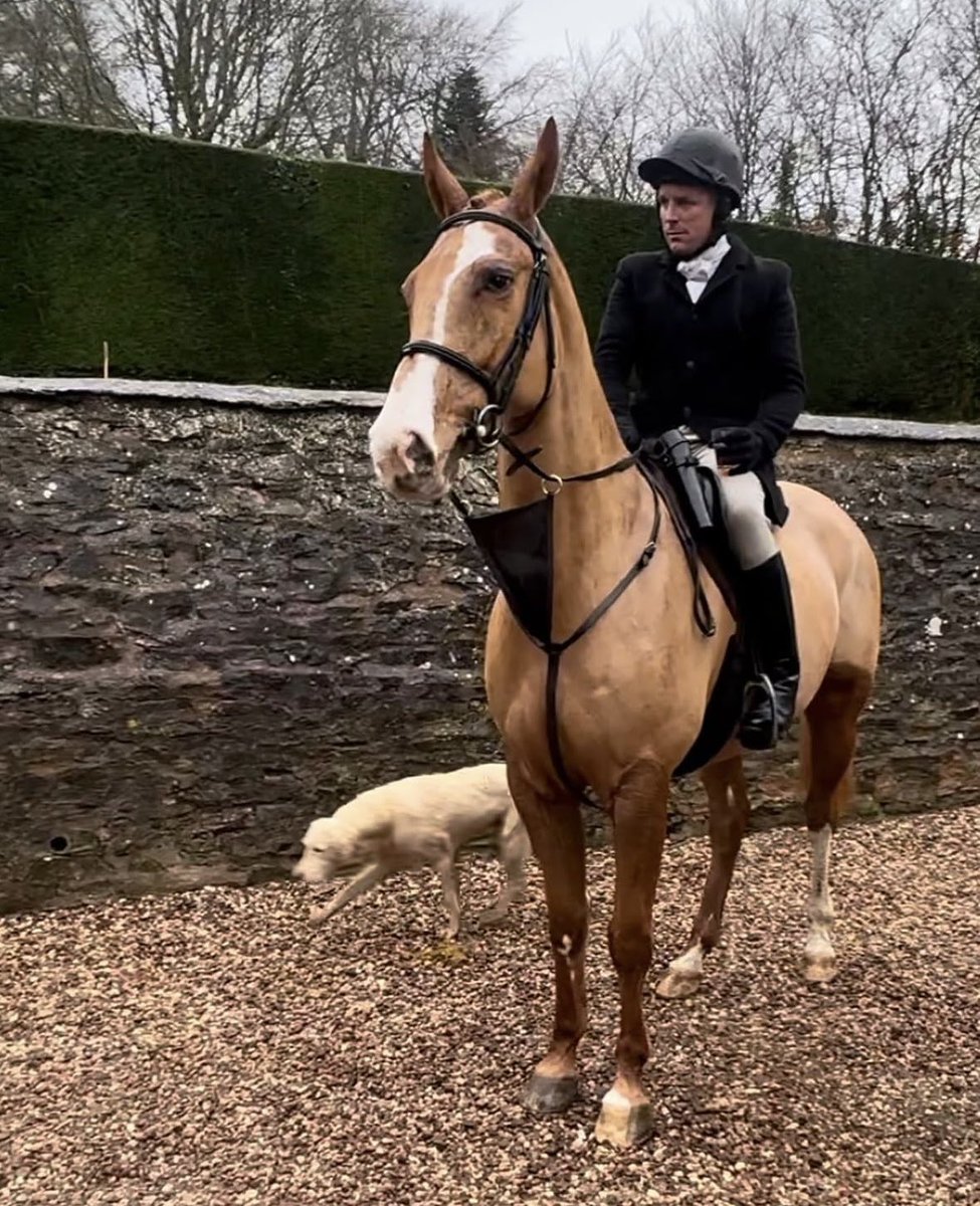 HQ Equestrian (@hqequestrian) on Twitter photo The very beautiful Scooby enjoying his first day out in the great company of the TVH to kick off the new year! 🥂
Wishing everyone a happy, healthy and successful 2025 🍀
<a href="/mjquinlan84/">Mark @ HQ Equestrian</a> The very beautiful Scooby enjoying his first day out in the great company of the TVH to kick off the new year! 🥂
Wishing everyone a happy, healthy and successful 2025 🍀
<a href="/mjquinlan84/">Mark @ HQ Equestrian</a>