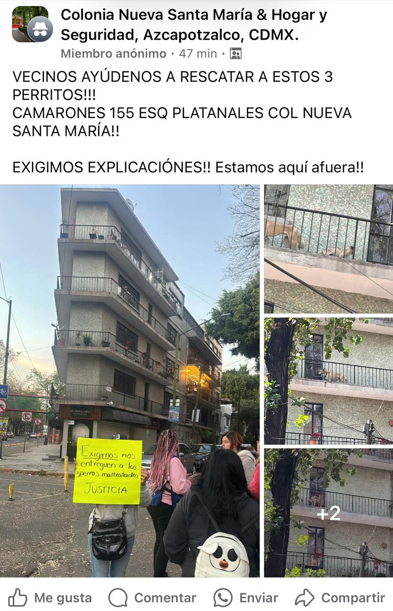 TodosSomosAzcap's tweet photo. https://t.co/EWSS5Q12NA