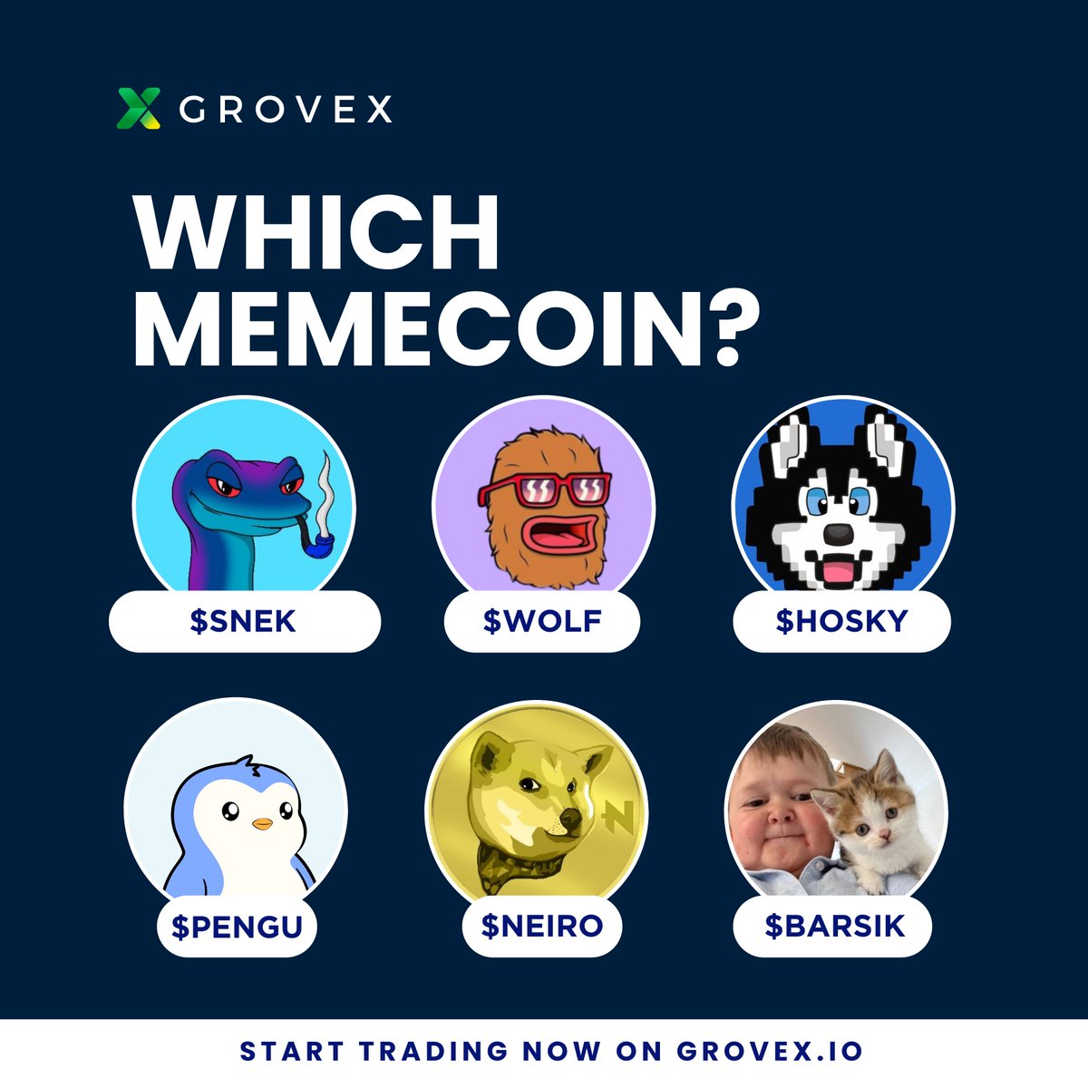 GroveX tweet media