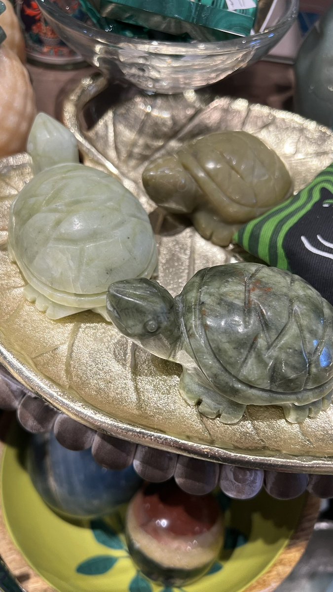 eternal_grudge's tweet photo. saving all the turtles today https://t.co/P3LY9GkwW8