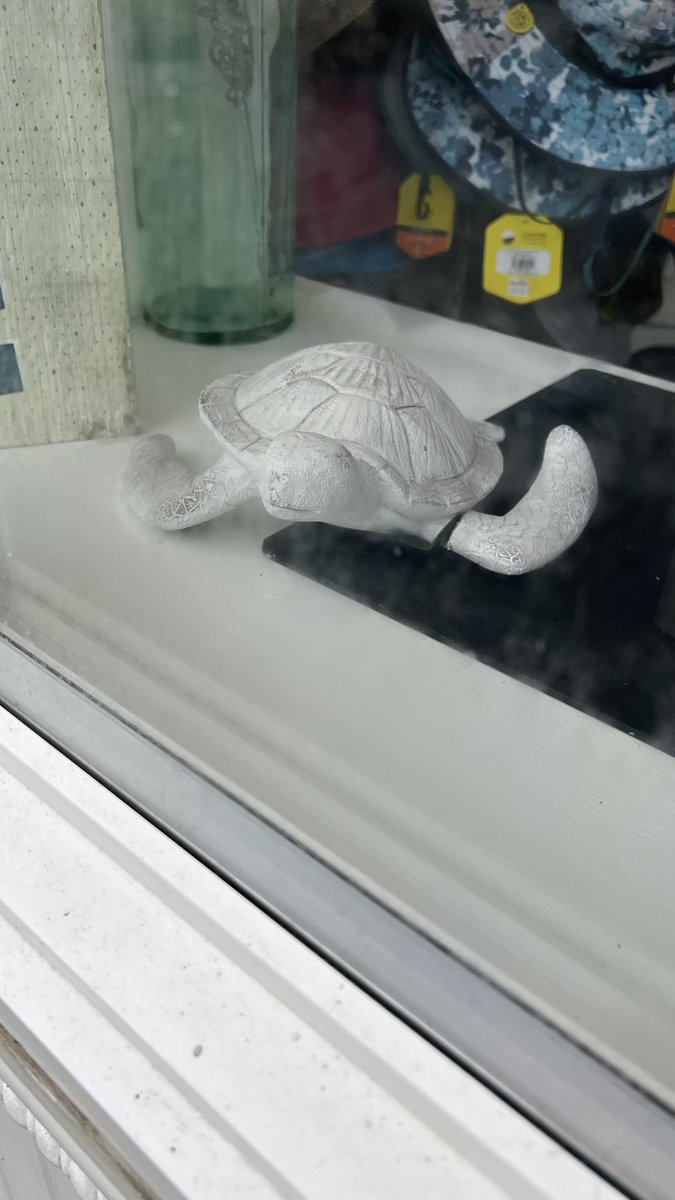 eternal_grudge's tweet photo. saving all the turtles today https://t.co/P3LY9GkwW8