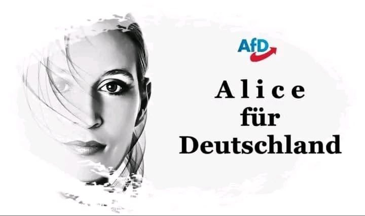 Christian Abel AfD tweet media