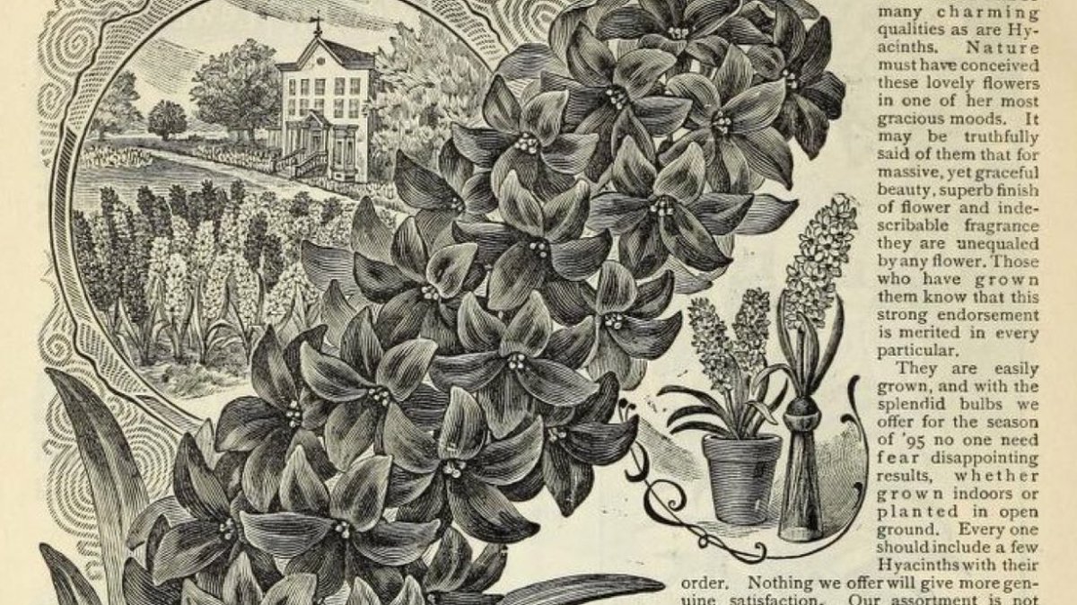 _illiterate_'s tweet image. — book reactions ˚₊‧