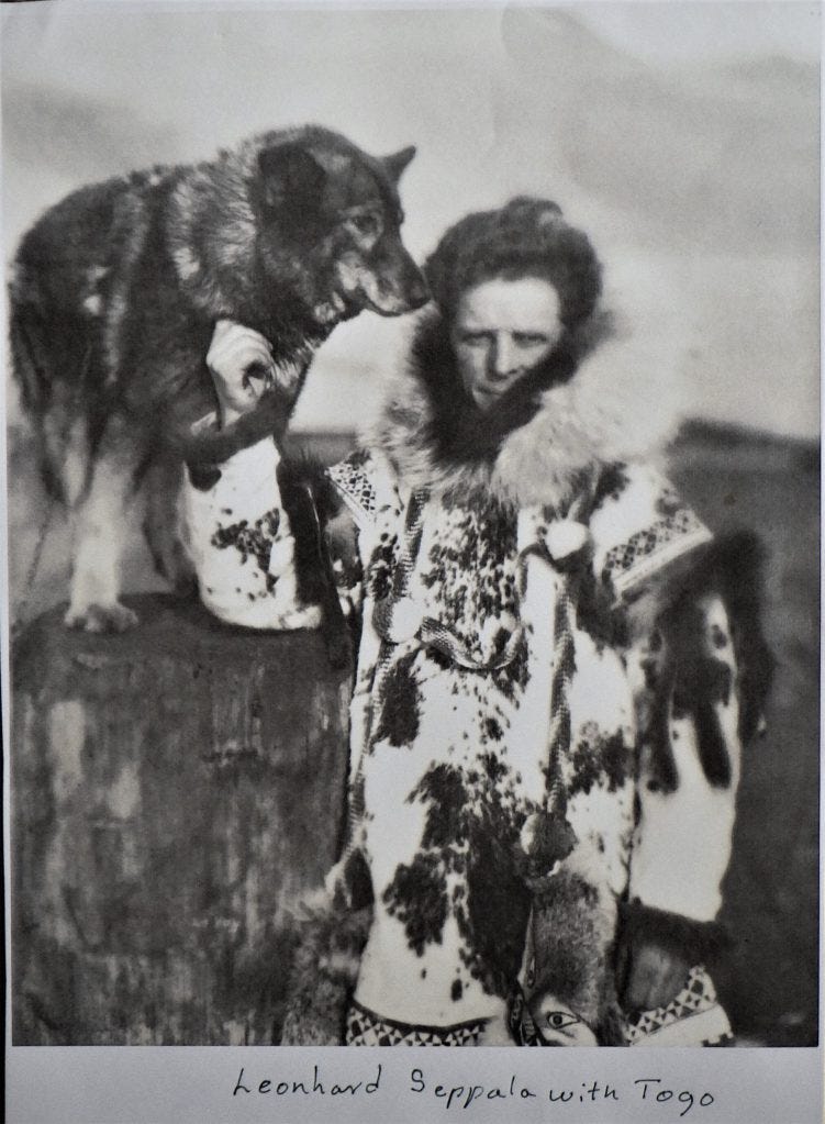 gracie_diary's tweet photo. Bellissima storia quella del cane Togo #history #film #movie #truestory #TogoUnaGrandeAmicizia https://t.co/rD0sb2ADaV