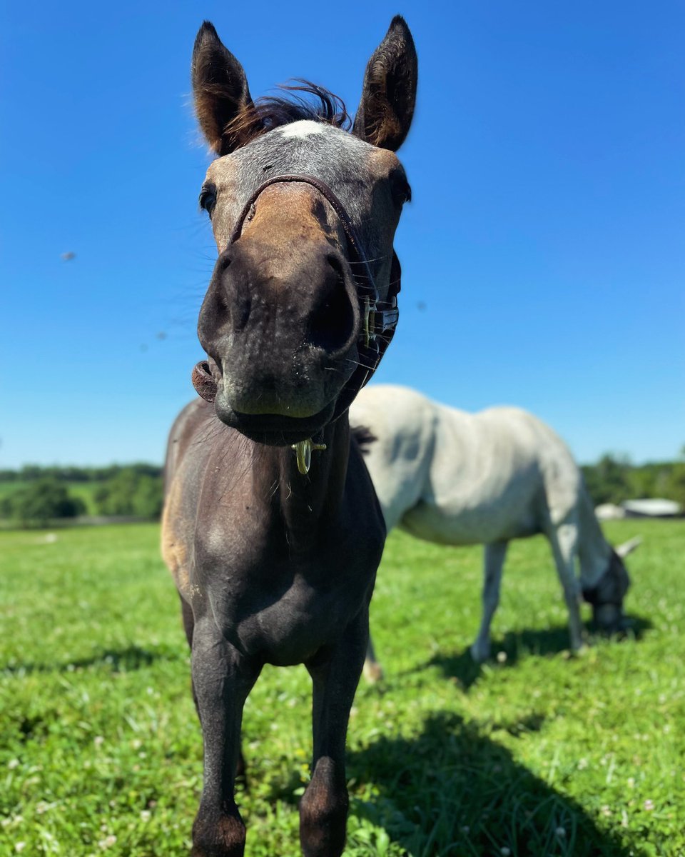 Happy New Year to all of our Partners and incredible team members! Let’s have some fun in 2025!