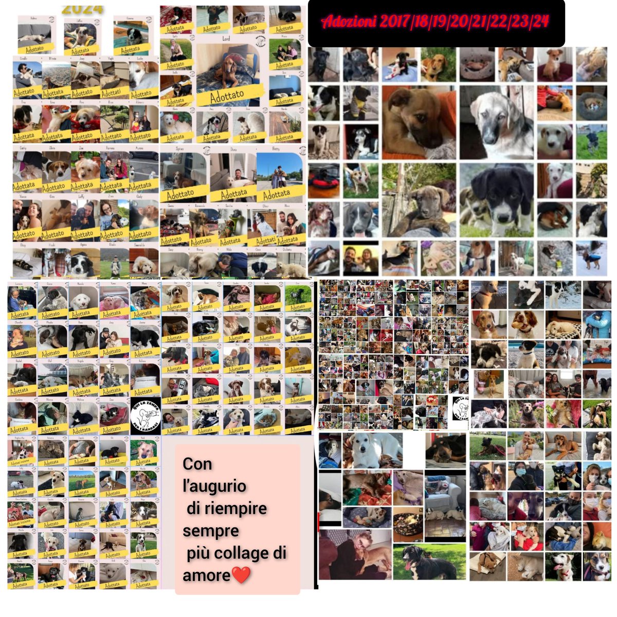 Buon anno nuovo con il collage di tutte le nostre adozioni...ormai troppe per vederle bene tutte ma rende nel numero❤️