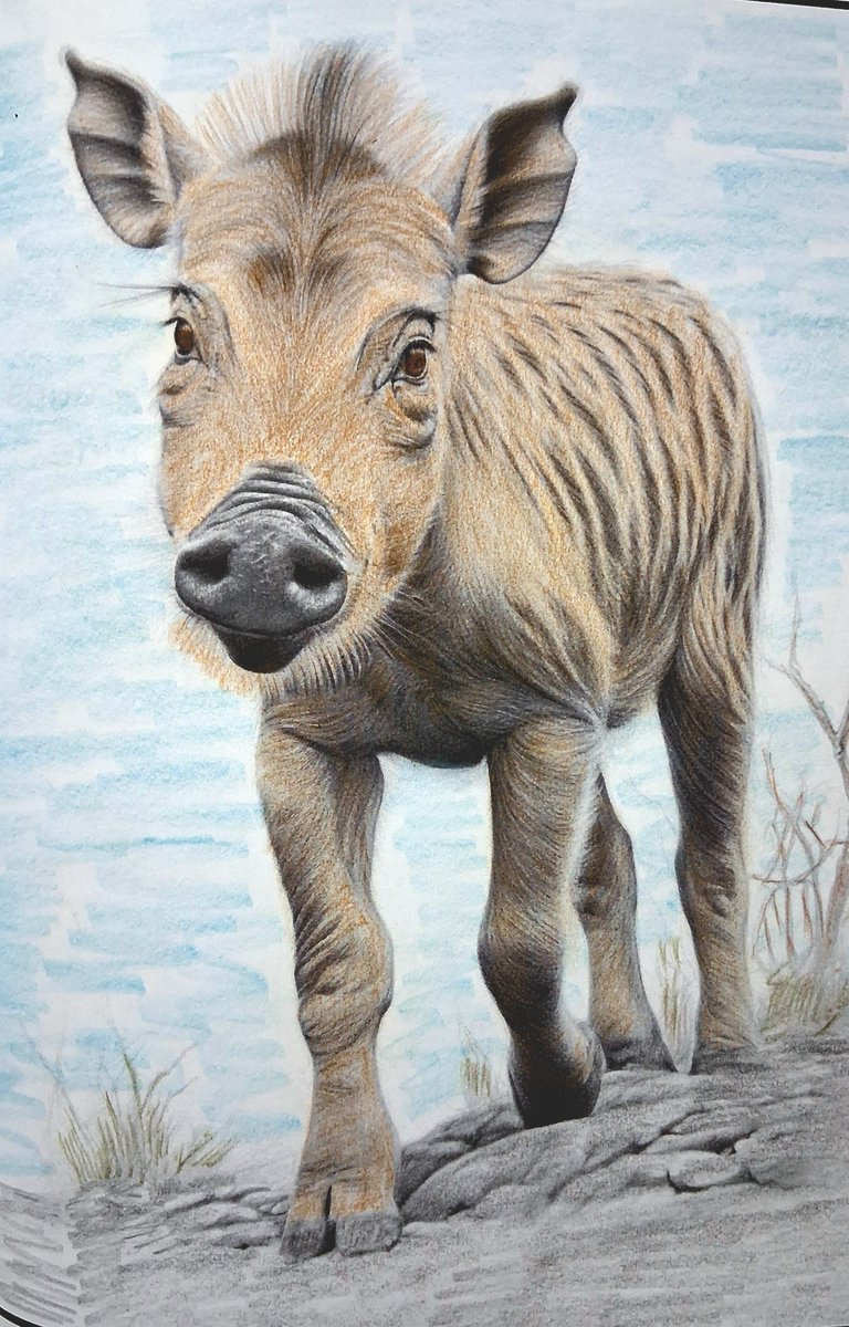 Russ Young tweet media