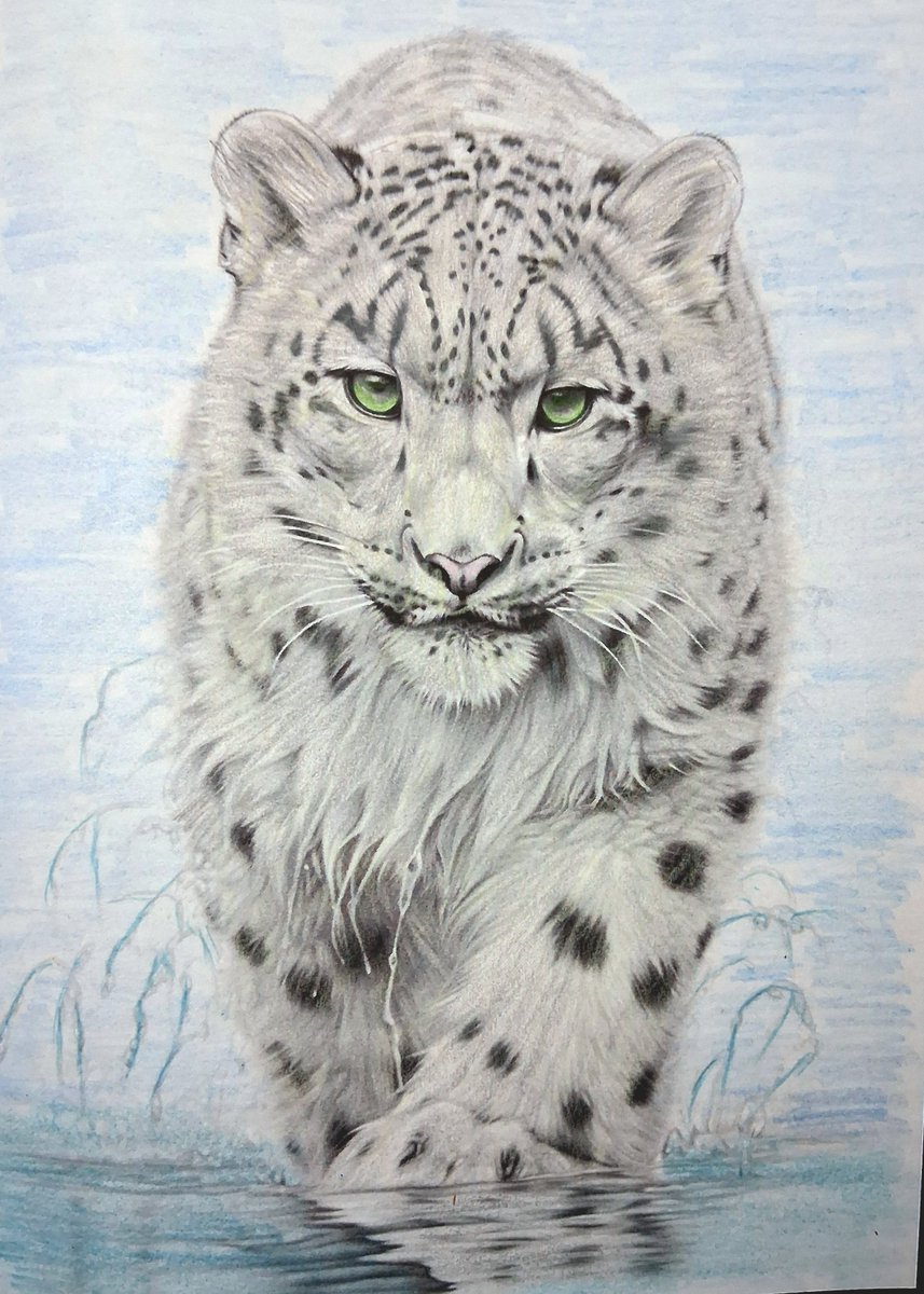 Russ Young tweet media