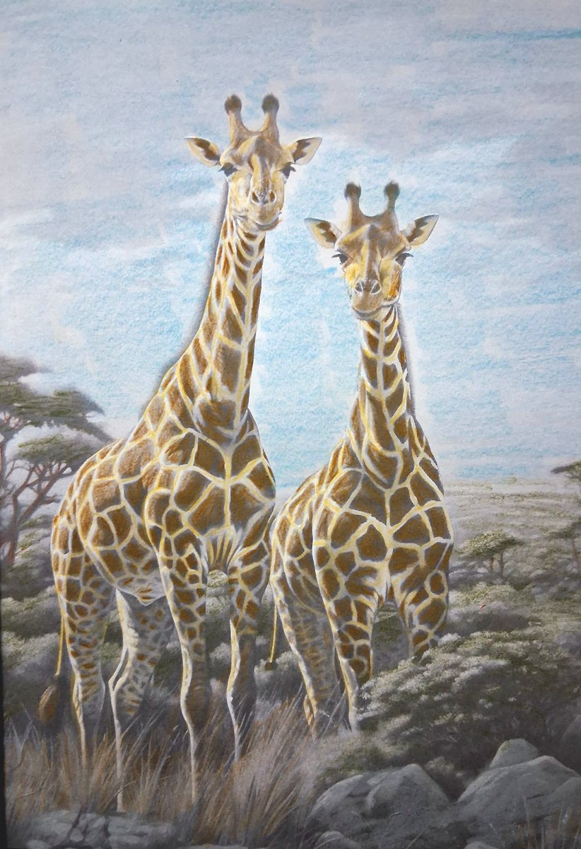 Russ Young tweet media