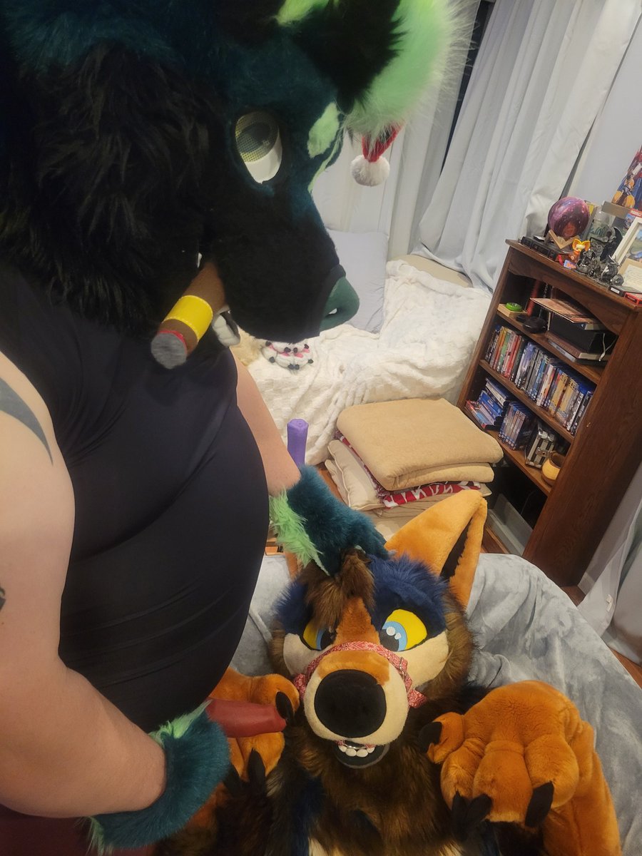 Searcher being a good subby boy for New Years'
@YiffyCyborgs
#fursuit #murrsuit #yiff