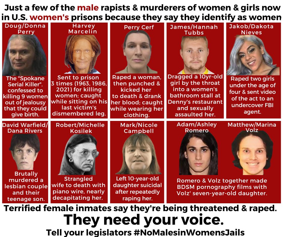 TerfTurf's tweet photo. @RealDanZak The #transMafia is a men's rights movement. Every single time we are asked to "protect the feelings of "trans women" we put actual real live girls in danger. #TranswomenAreConMen Stop putting white mens' feelings above all girls safety. #NoDixInTheGirlsRoom #HoldTheLine https://t.co/9t3fVvKk66