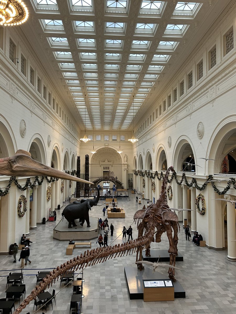 Marc ABOU ABDALLAH 🇱🇧 🇫🇷 🇨🇦 🇺🇸 tweet media