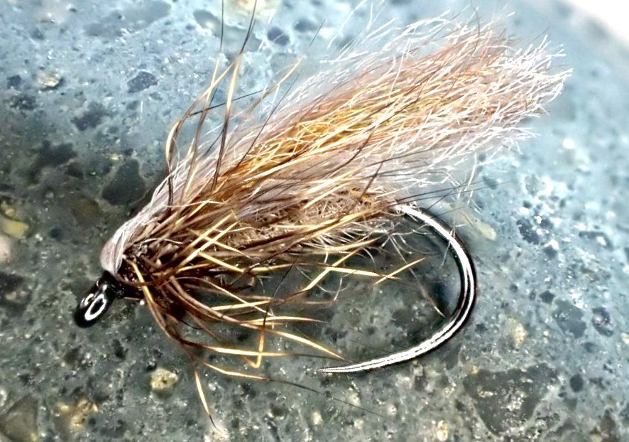 FreestoneFF's tweet image. A Caddis kind of a day!