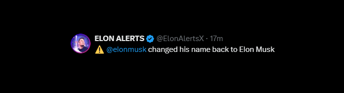 Elon Musk CTO (Parody) tweet media