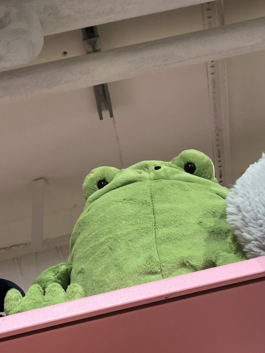 aREEEEEnyxiaa tweet media