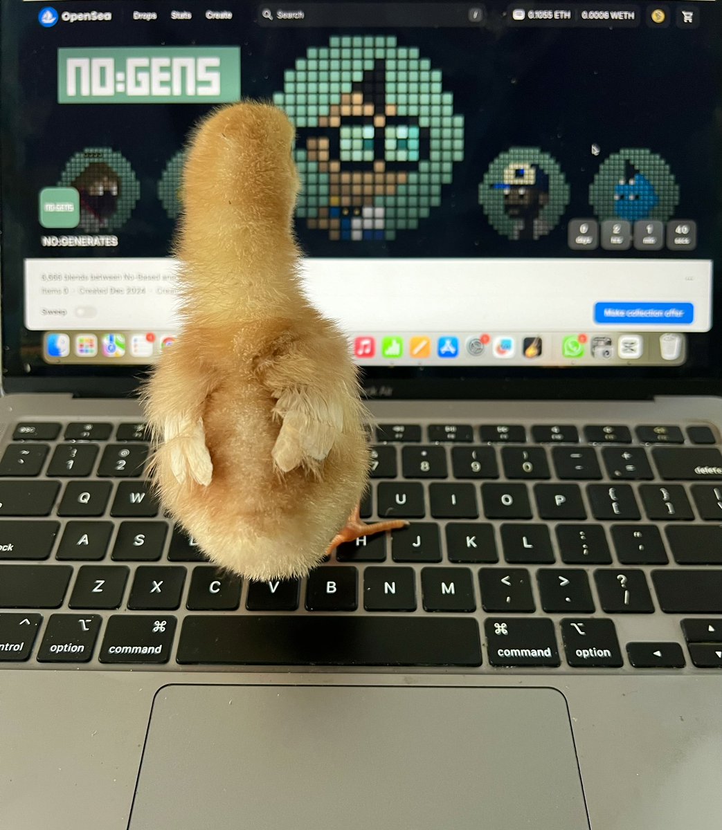 All the chicks minted their NO:GENS, have you! Check now on <a href="/opensea/">OpenSea</a> !