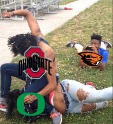 BeaverSheets's tweet photo. https://t.co/L8uPLECOHZ