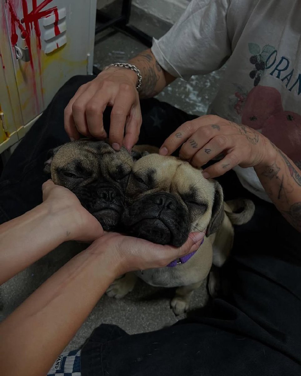 M262N's tweet image. old digs