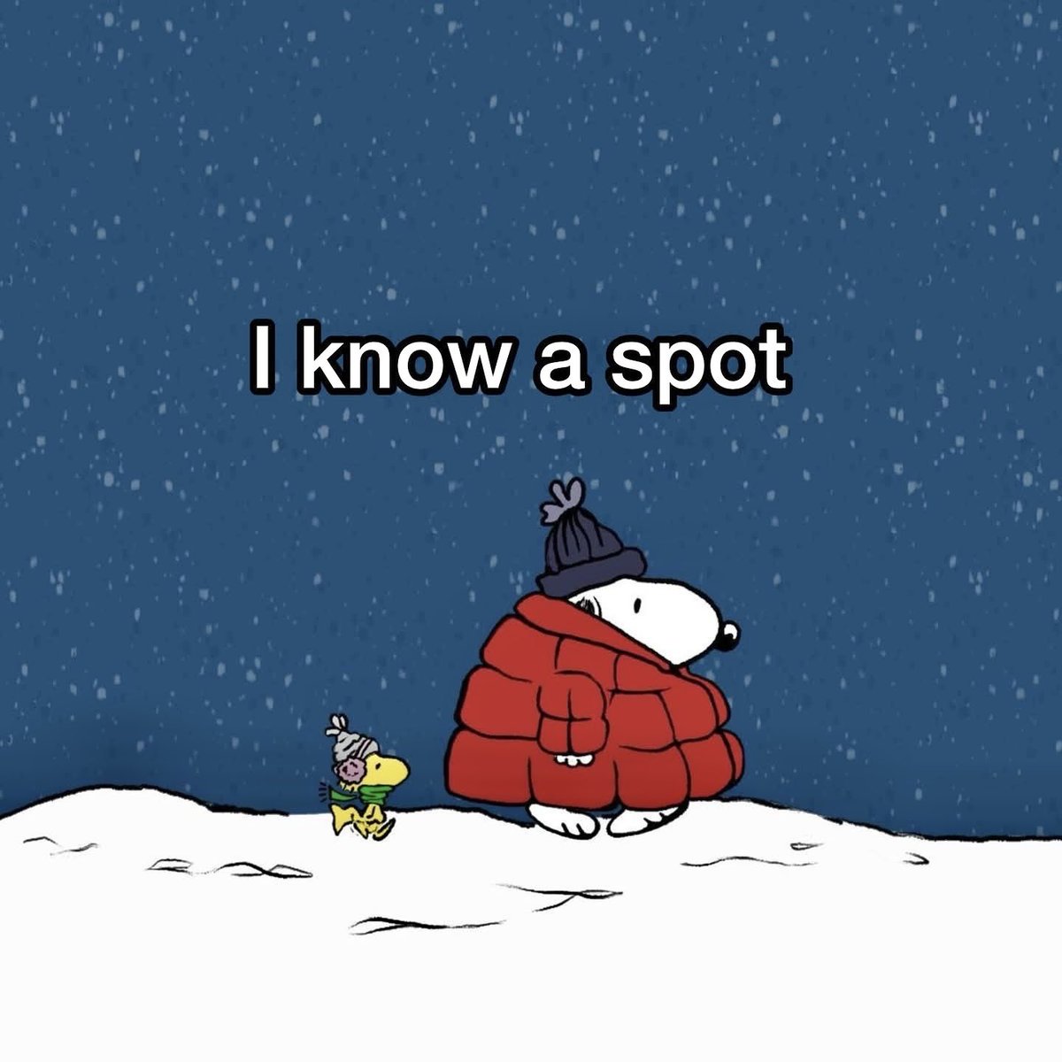 Leave it to Snoopy!