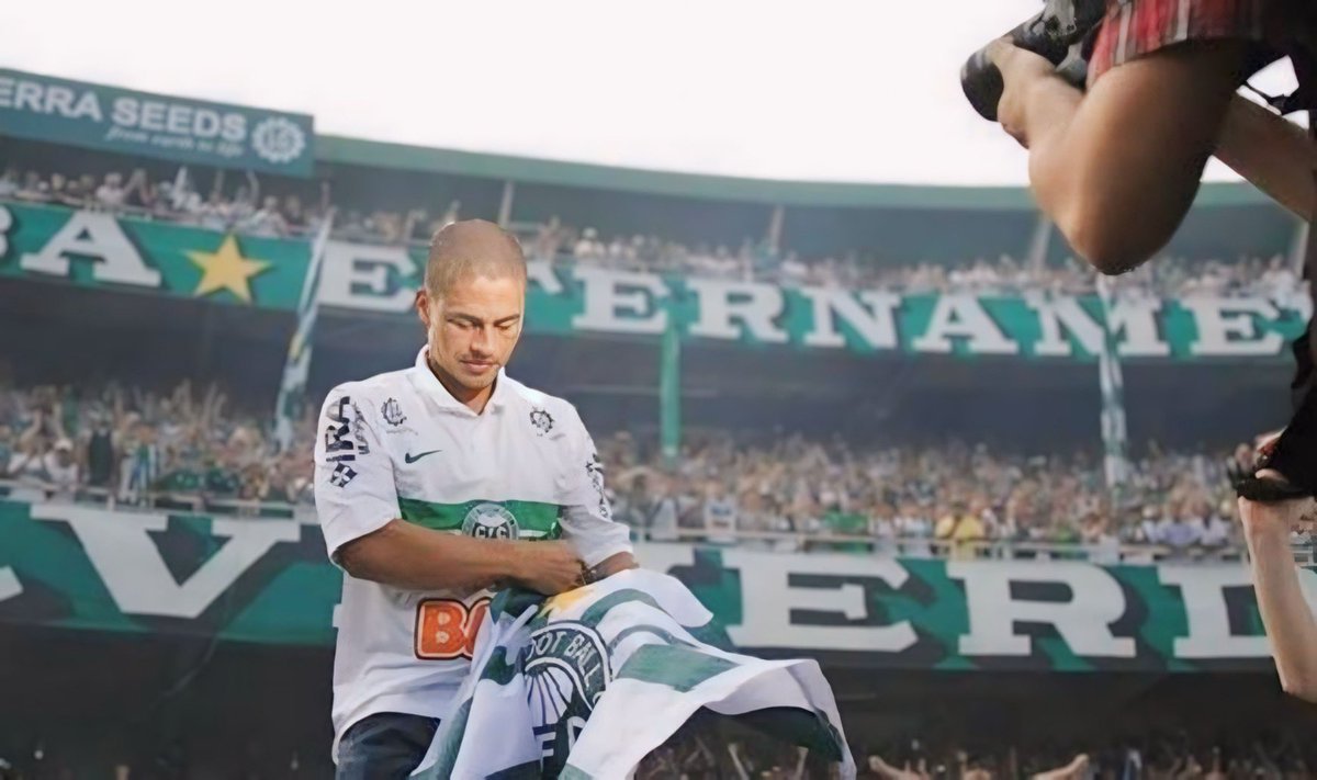 RogerioScarione's tweet photo. De uma vez por todas:

ÍDOLO é isso aqui. 💚 https://t.co/Z7Kl2FvMnp